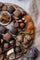 Fall Chocolate Charcuterie Board with Watson’s Chocolates