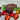 Chocolate Pumpkin
