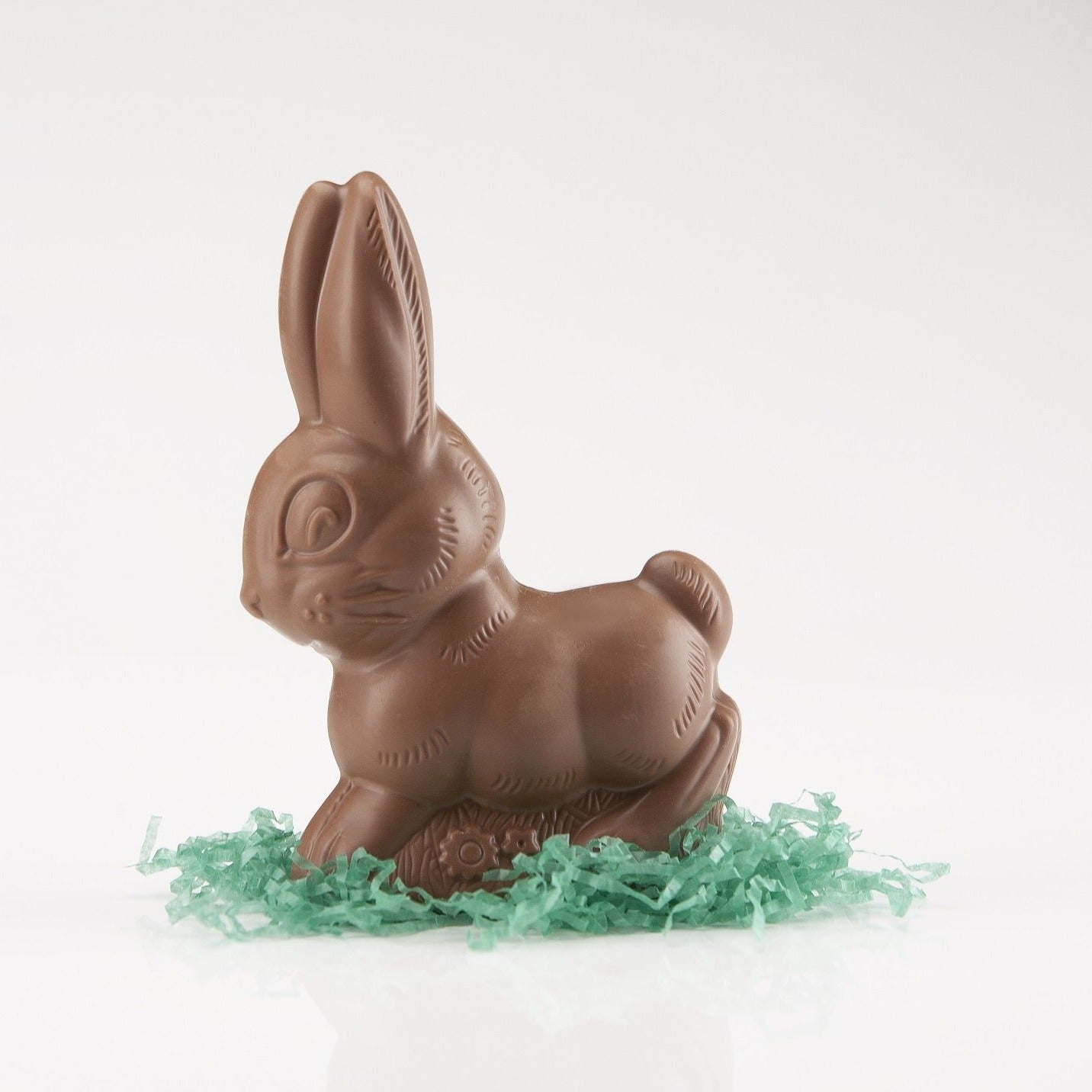 8 oz. chocolate easter bunny