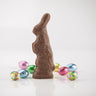 4  oz. chocolate easter bunny