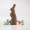 4  oz. chocolate easter bunny