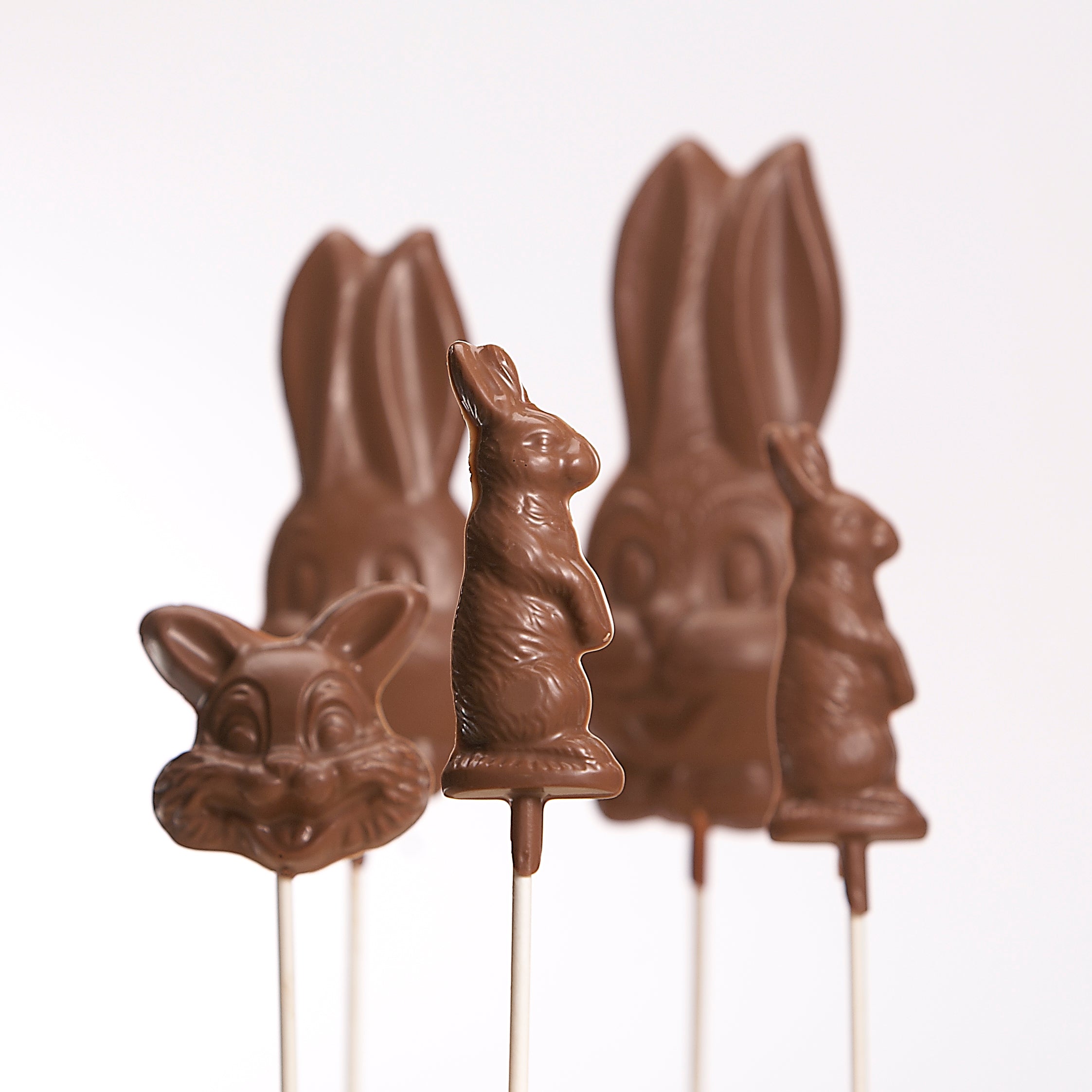 Various Chocolate easter bunny suckers